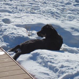 Meet your Posher, Ginette